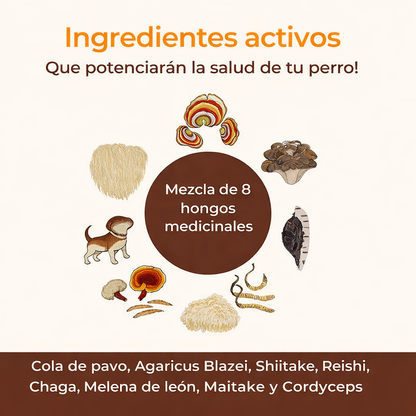 Complemento Natural de Hongos CANELIA