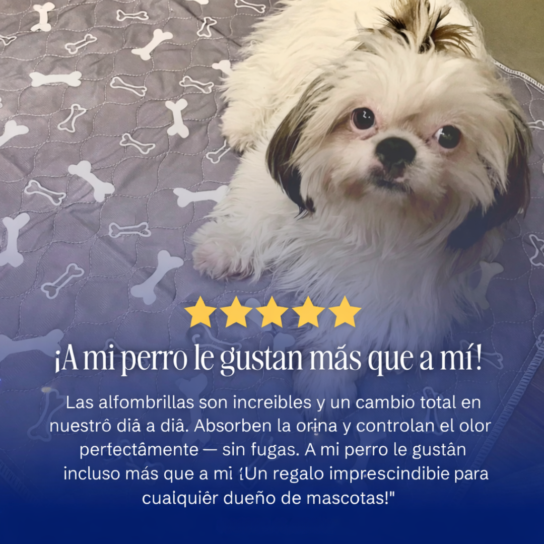 Manta absorbente reutilizable CANELIA™