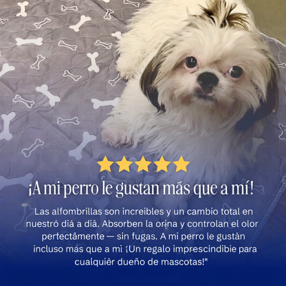 Manta absorbente reutilizable CANELIA™