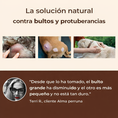 Complemento Natural de Hongos CANELIA