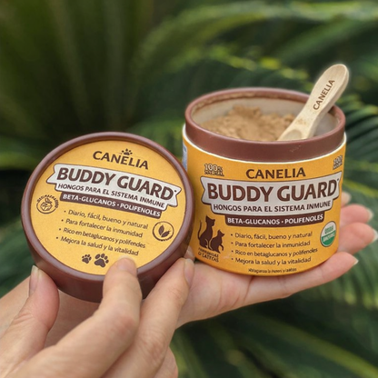 Complemento Natural de Hongos CANELIA