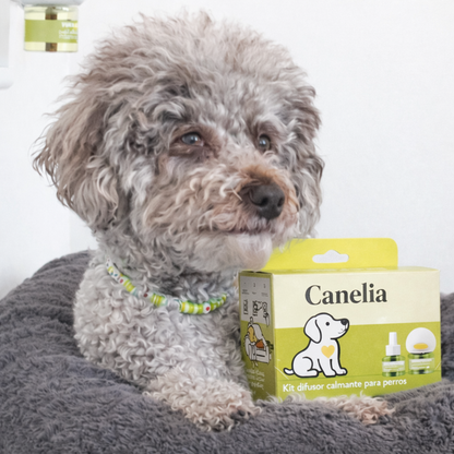 DIFUSOR CALMANTE CANELIA